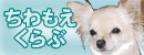 ちわもえくらぶ