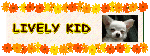 ＬＩＶＥＬＹ　ＫＩＤ