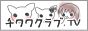 チワワクラブTV