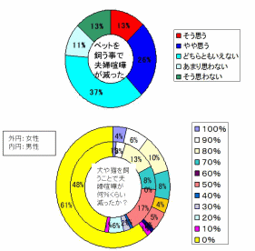 チワワ　夫婦喧嘩