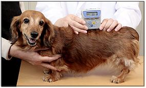 犬体脂肪計