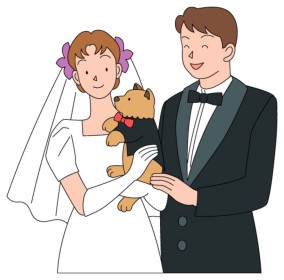 チワワ　結婚式